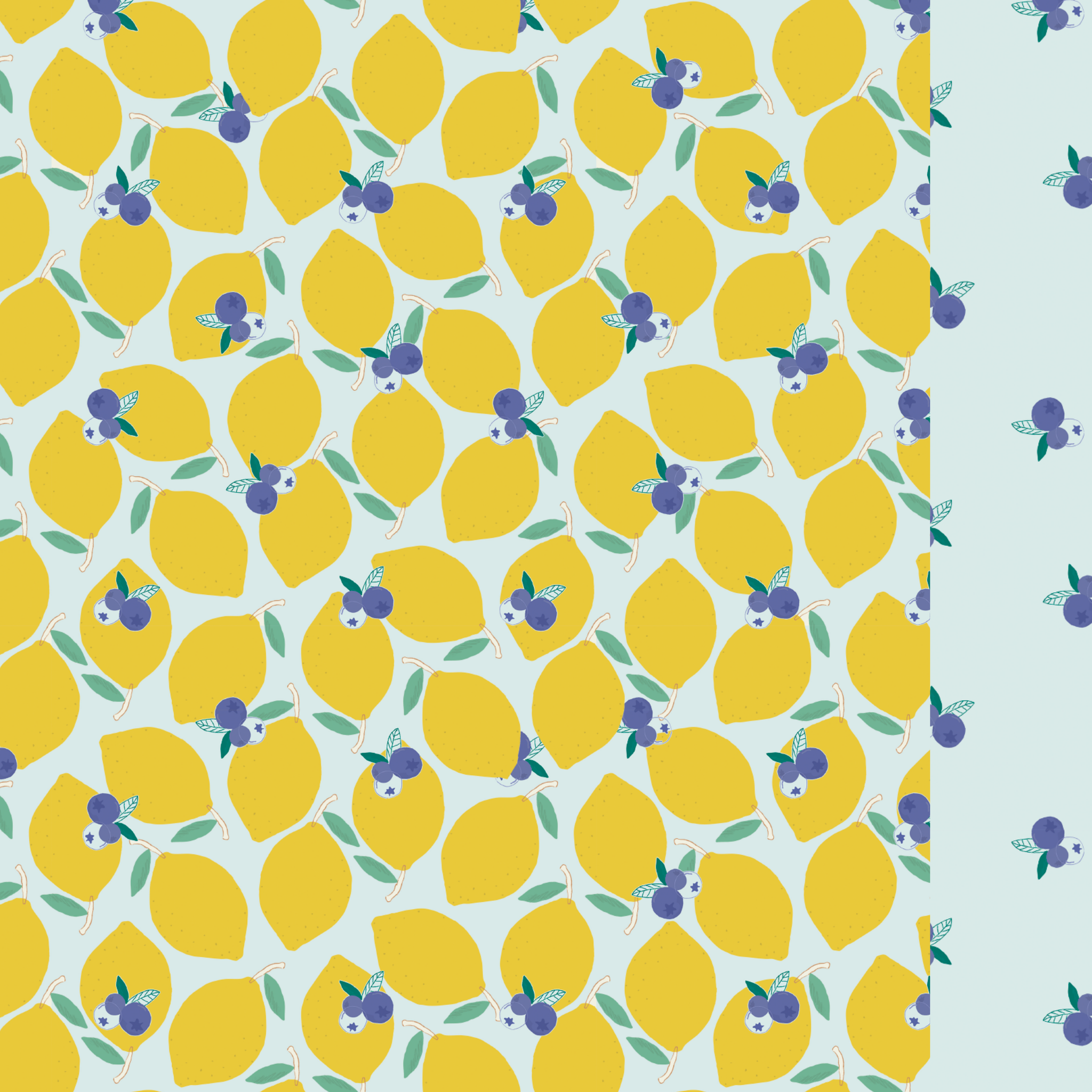 Lemonberry classic swim shorts: 6Y